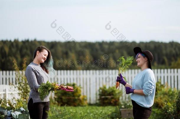 两个女儿采用指已提到的人花园收割胡萝卜.