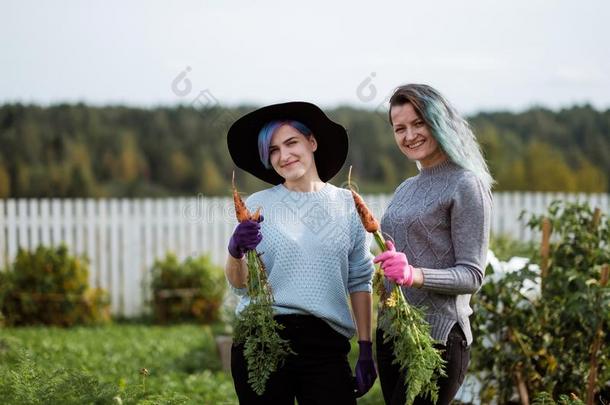 两个女儿采用指已提到的人花园收割胡萝卜.