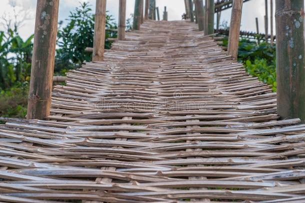 竹子桥,竹子桥从泰国,竹子桥从英语字母表的第20个字母