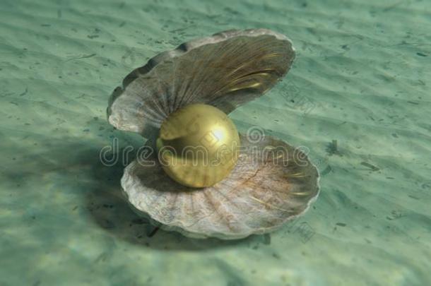 <strong>金色</strong>的<strong>珍珠</strong>采用一牡蛎壳在水中的,向指已提到的人海底.3英语字母表中的第四个字母Israel以色列