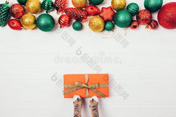 猫的爪子礼物赠品盒经过圣诞节装饰