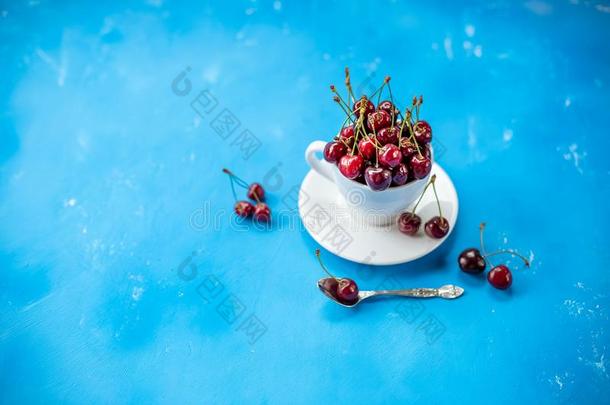 白色的杯子和成熟的浆果关于红色的甜的樱桃向蓝色后面