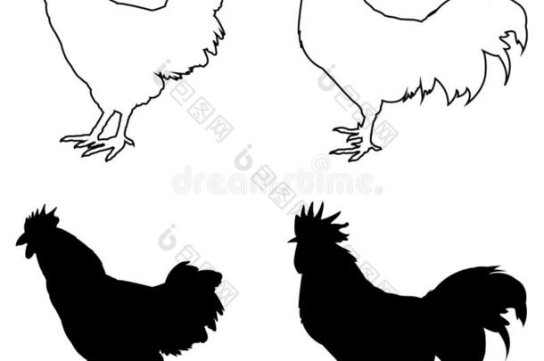 公鸡轮廓-小公鸡或公鸡,农场鸟