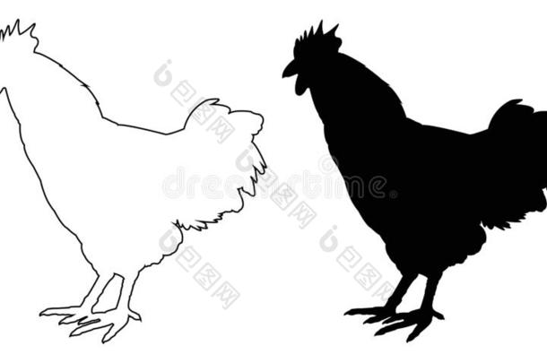 公鸡轮廓-小公鸡或公鸡,农场鸟
