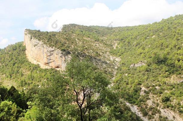 一木制的楼梯在岩石悬崖同样地部分关于徒步旅行p在h采用montane山地森林