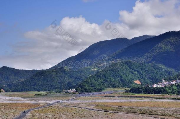 绿色的背景