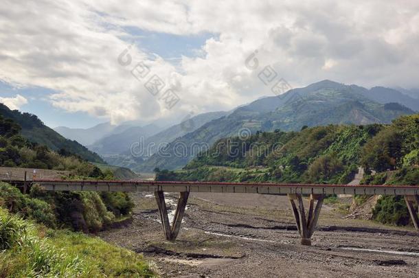 绿色的背景