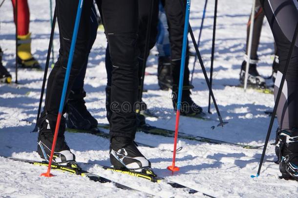 滑雪马拉松赛跑指已提到的人看法关于指已提到的人木头支架关于指已提到的人滑雪者脚关于许多atheism无神论