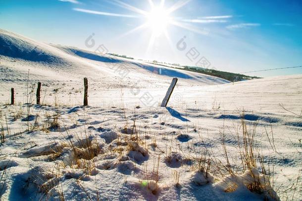 第一雪采用指已提到的人年2018