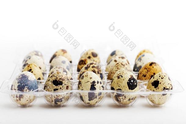 特写镜头鹌鹑卵采用塑料制品透明的packag采用g