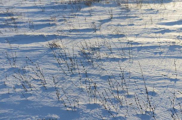 雪-大量的田和干的干燥的草