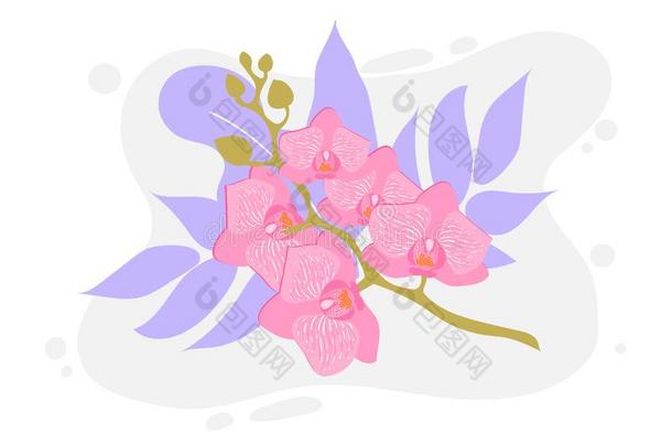 花<strong>兰花</strong>.<strong>矢量</strong>花异国的<strong>兰花</strong>树枝