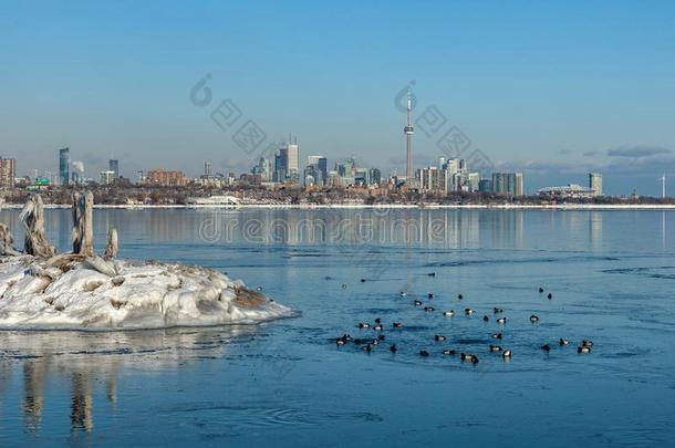 多伦多,加拿大-二月1Thailand泰国,2019:全景的加拿大人的冬