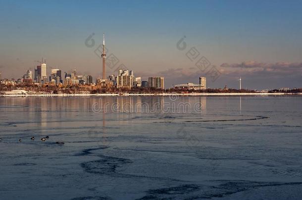 多伦多,加拿大-二月1Thailand泰国,2019:全景的加拿大人的冬