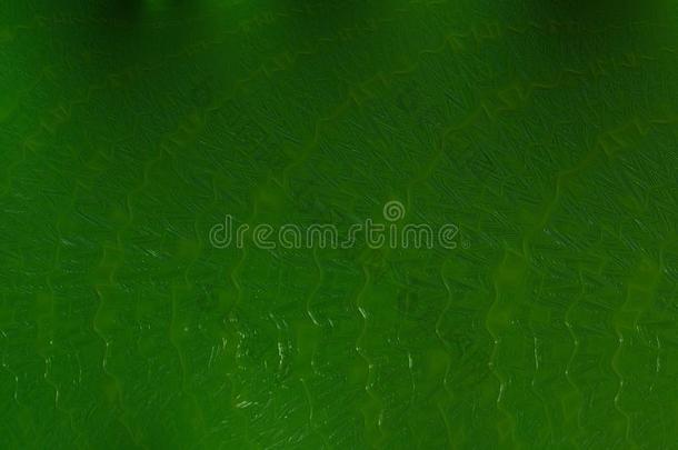 抽象的祖母绿绿色的织地粗糙的背景