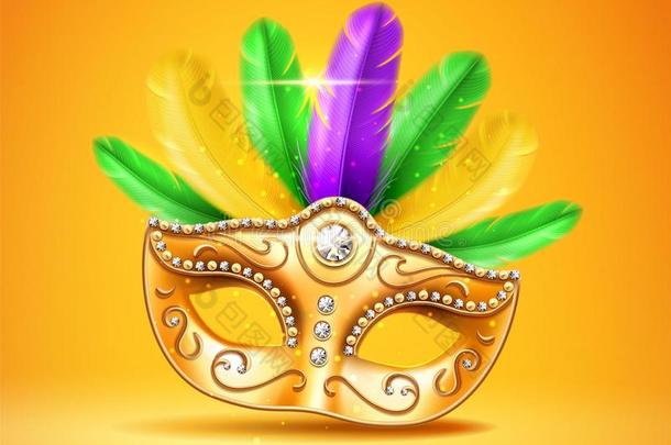 富有色彩的羽毛化装舞会,狂欢节,节日的面具