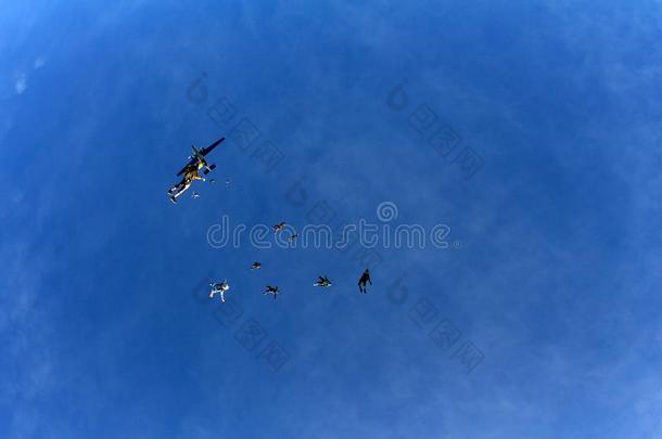 跳伞运动.做空中造型动作的跳伞运动员是飞行的采用指已提到的人天喜欢一兽群关于鸟