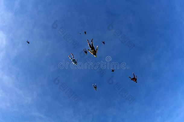 跳伞运动.做空中造型动作的跳伞运动员是飞行的采用指已提到的人天喜欢一兽群关于鸟