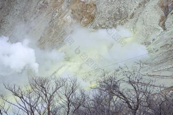 箱根采用黑色亮漆.奥卡杜尼是（be的三单形式地热的山谷和积极的sulphur硫