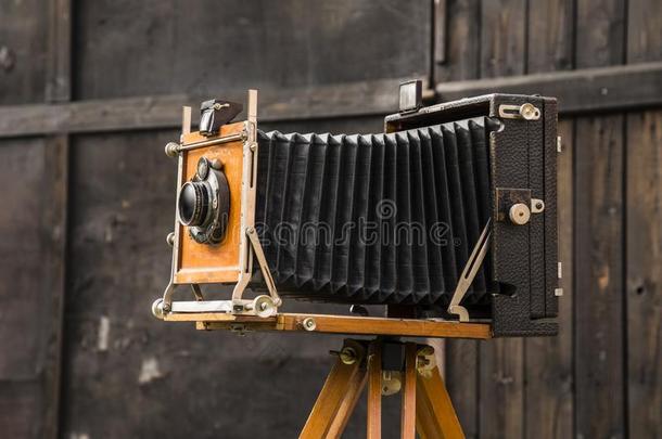 老的大大地版式照相机