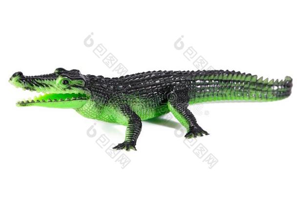 绿色的鳄鱼玩具隔离的向白色的背景.塑料制品鳄鱼