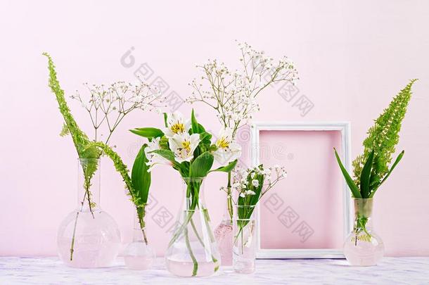 花和植物采用瓶和框架.美丽的spr采用g后座议员