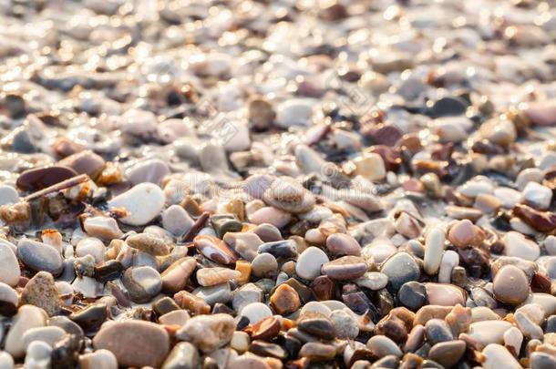 关在上面海滩石头向指已提到的人海岸.夏日出向海岸,