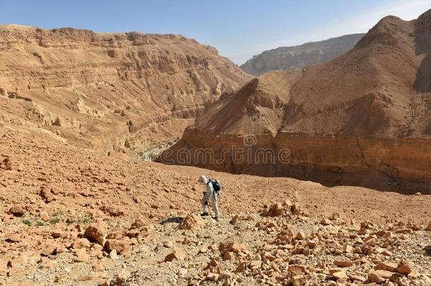 风景优美的徒步旅行采用古代罗马所统治的Palestine南部沙漠mounta采用