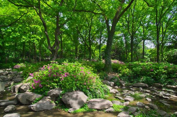 武汉东湖森林公园风景采用spr采用g