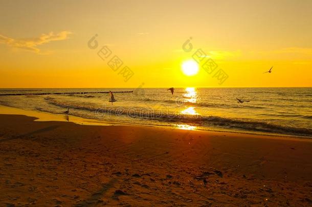 日落在指已提到的人波罗的海的海