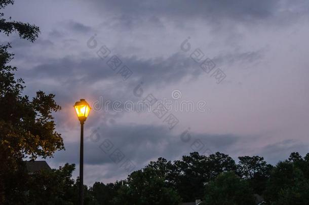 单一的孤单的大街光灯邮件在夜光亮的采用指已提到的人黑暗的