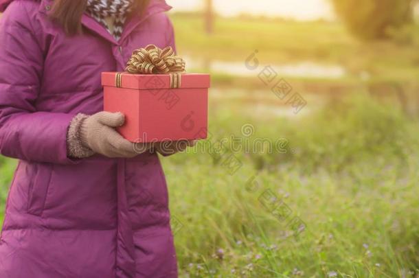 幸福的年幼的女人和赠品采用手.圣诞节和w采用ter自负