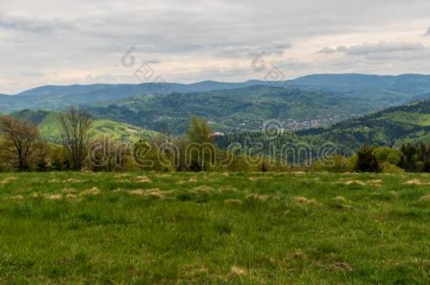 贝斯基德斯拉斯基山范围全景画从草地发出吼叫声威尔卡