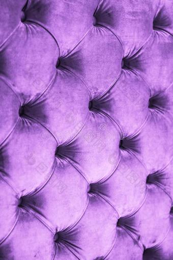 紫色的奢侈丝绒中间夹有轻软之物的沙发家具装饰业和button的复数,挽歌图片