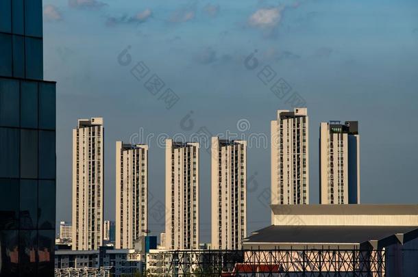 日落天背景,扇形棕榈细纤维,泰国城市风光照片背景