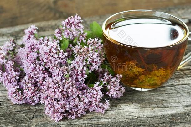 野生的牛至属植物花茶水或煎煮,marj或am芽向老的文本