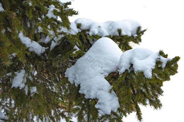 冬圣诞节全套装备使关于雪