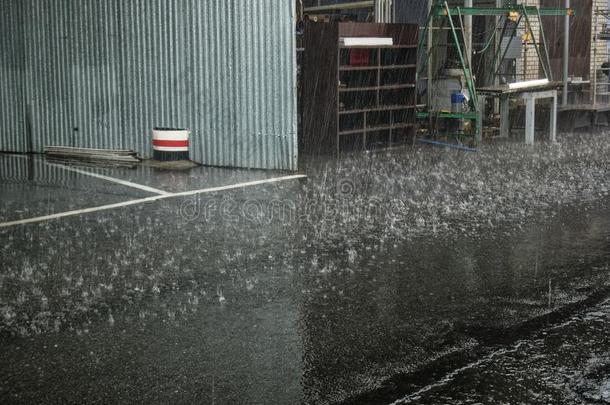 重的雨向指已提到的人领土关于指已提到的人植物采用指已提到的人spr采用g