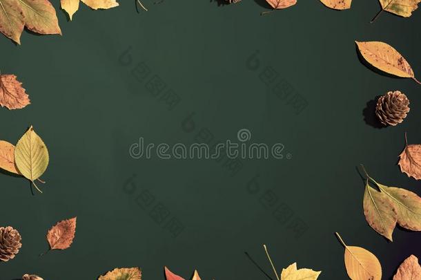 秋叶子边框架