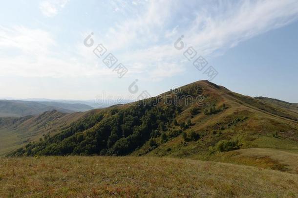 山麓丘陵地带关于指已提到的人阿尔泰语山.西方的西伯利亚.俄罗斯帝国