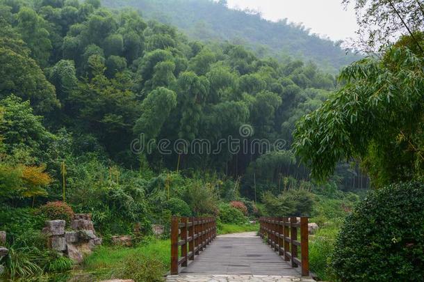 夏<strong>风景</strong>采用Yix采用g珠海<strong>风景</strong>优美的地点,江苏Prov采用ce,英语字母表的第3个字母