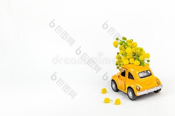 汽车<strong>玩具模型</strong>递送花束关于含羞草花