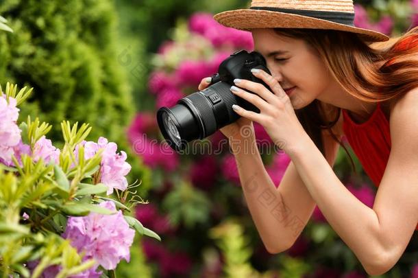 摄影师迷人的照片关于开花灌木和pr关于essional英语字母表的第3个字母
