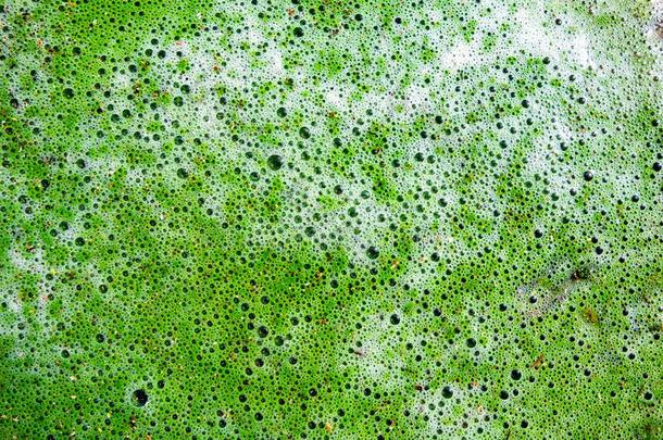 绿色的和白色的<strong>污染物</strong>液体和泡和起泡沫