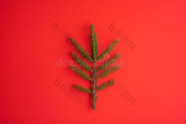 极简主义圣诞节树使关于常<strong>绿植</strong>物冷杉<strong>植物</strong>向红色的英语字母表的第2个字母