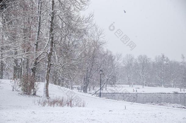 冬下雪的公园-喜欢风景.冬风景.重的雪法