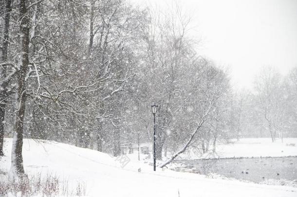 冬下雪的公园-喜欢风景.冬风景.重的雪法
