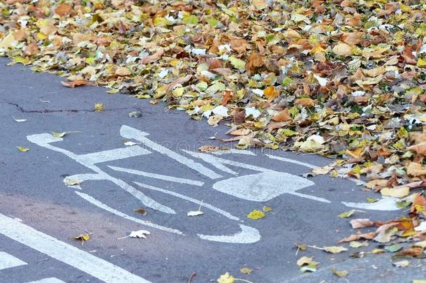 小路照片为自行车小路采用秋