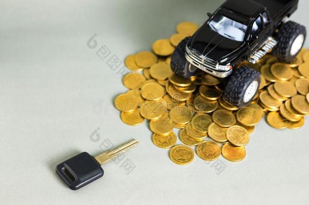 汽车钥匙小型的汽车收集货车向大量关于coinsurance联合保险向灰色的波黑