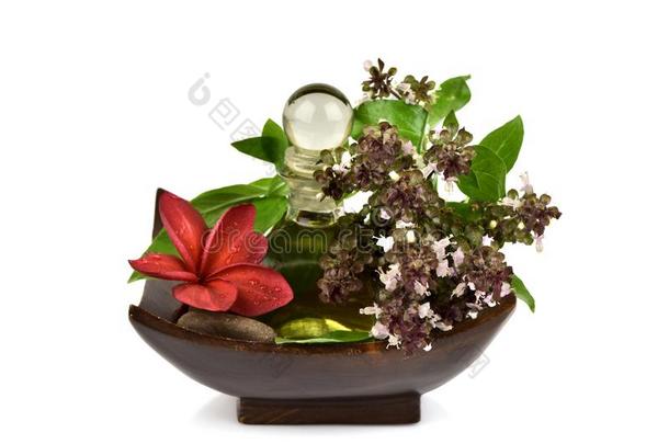 甜的罗勒属植物,ThaiAirwaysInternational泰航国际罗勒属植物,花和绿色的树叶aux.用以构成完成式及完成式